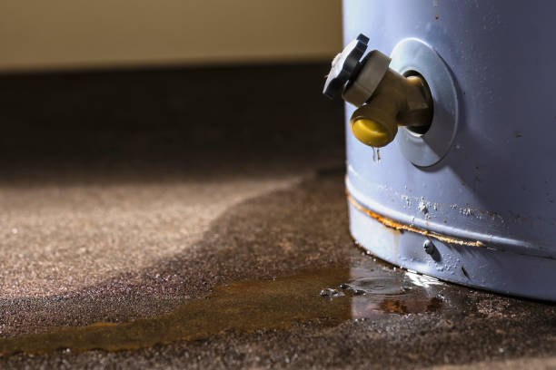 Best Mold removal after water damage  in Knik Fairview, AK