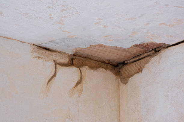  Knik Fairview, AK Water damage restoration Pros