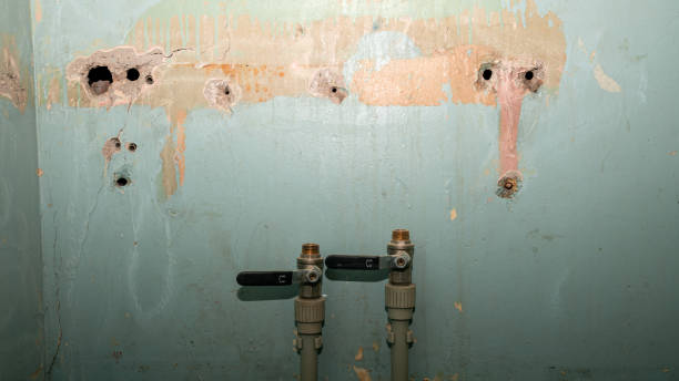 Best Water damage cleanup near me  in Knik Fairview, AK