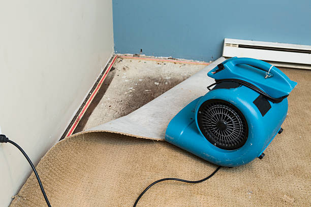 Trusted AK Water damage restoration Experts